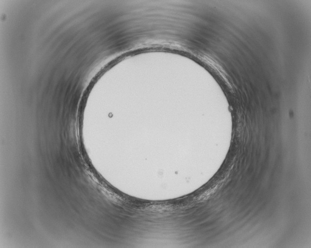 X0000061720888200512302117