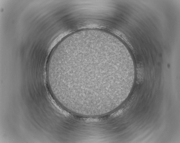 X0000061720890200512302117