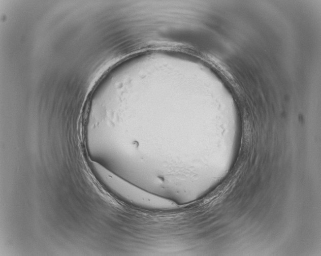 X0000061720891200512302117