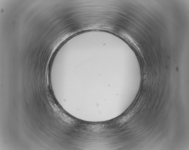 X0000061720892200512302117