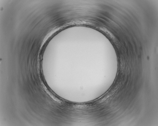 X0000061720894200512302117