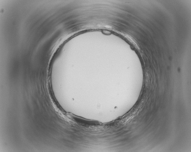 X0000061720895200512302117