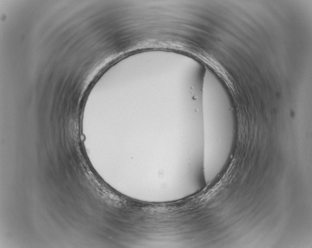 X0000061720896200512302117