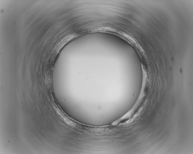 X0000061720897200512302117