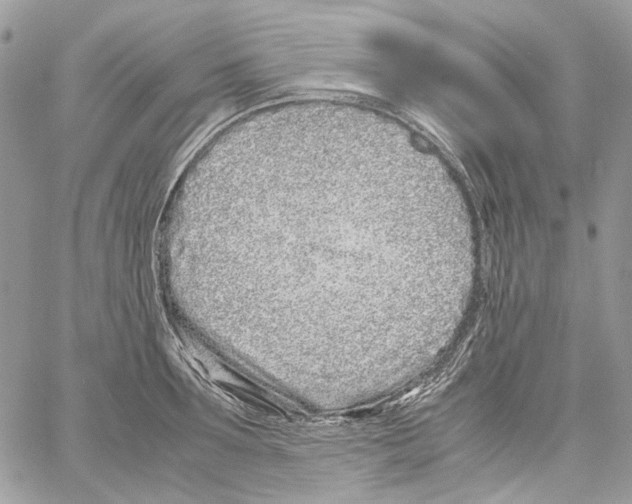 X0000061720899200512302117