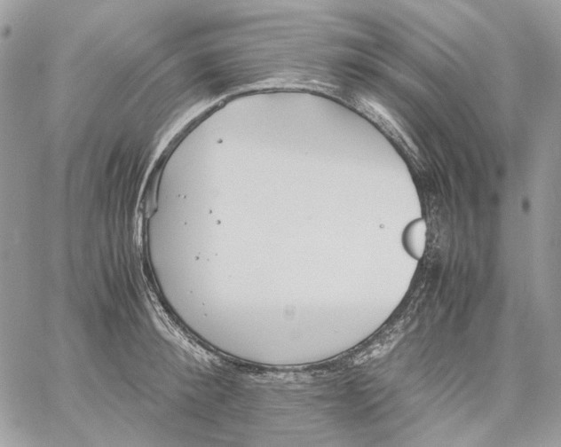 X0000061720900200512302117