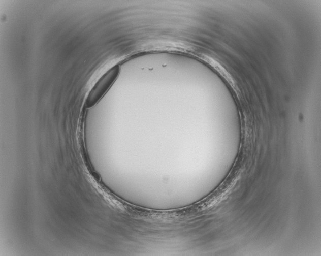 X0000061720901200512302117