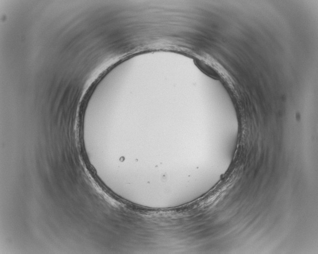 X0000061720902200512302117