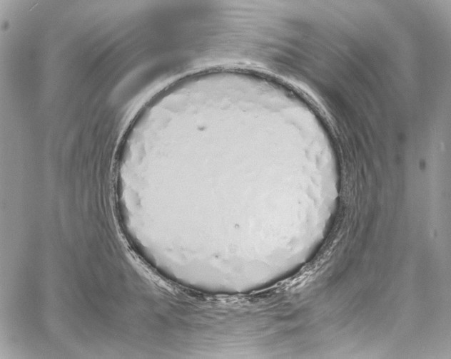 X0000061720903200512302116