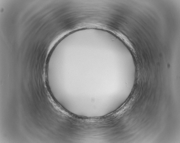 X0000061720904200512302116