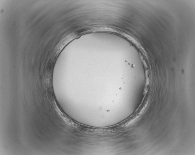 X0000061720905200512302116