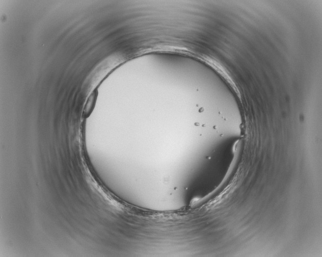 X0000061720906200512302116