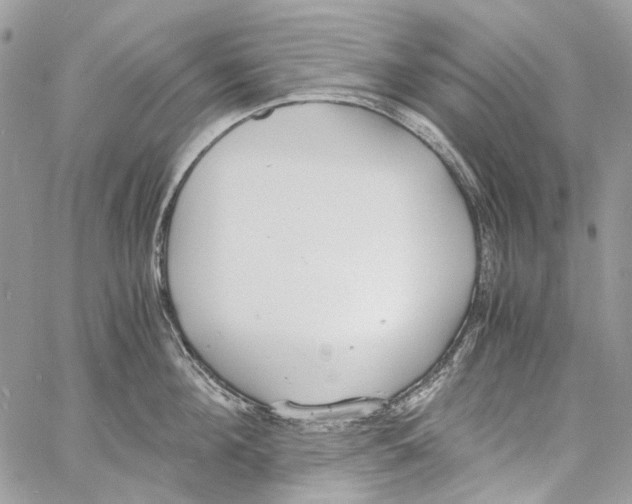 X0000061720908200512302116