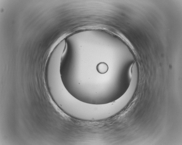 X0000061720909200512302116