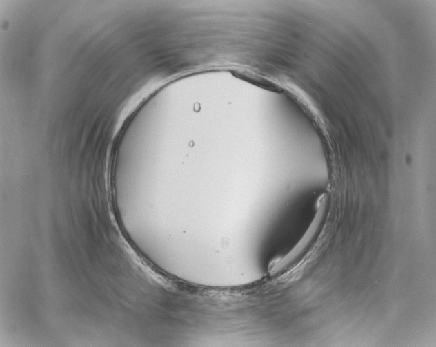 X0000061720910200512302116