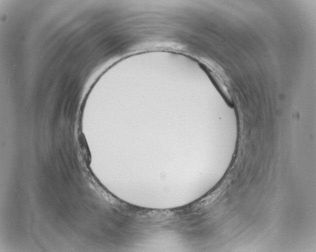 X0000061720912200512302116