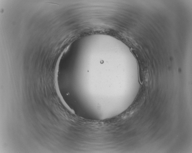 X0000061720916200512302116