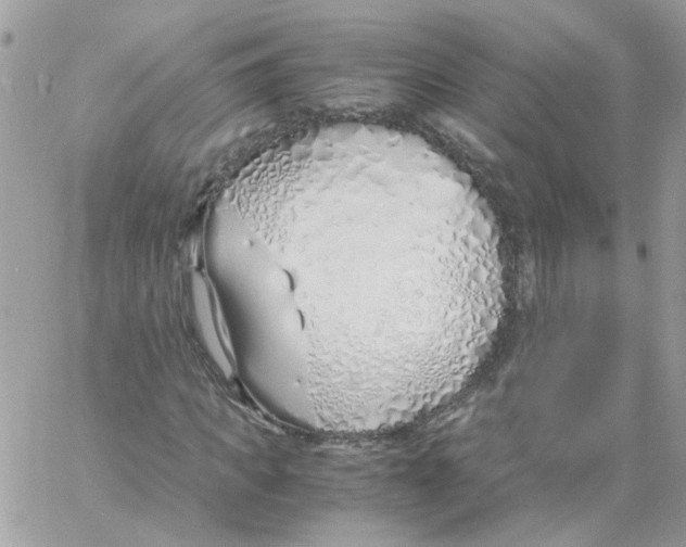 X0000061720917200512302116