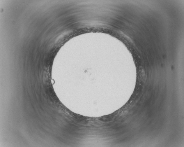 X0000061720918200512302116