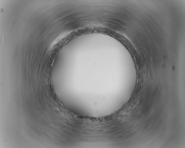 X0000061720919200512302116