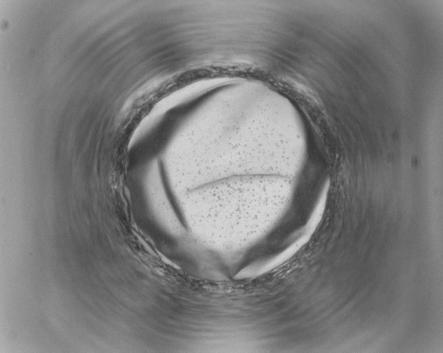 X0000061720920200512302116