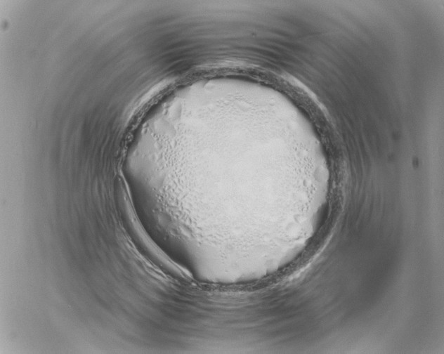 X0000061720921200512302116