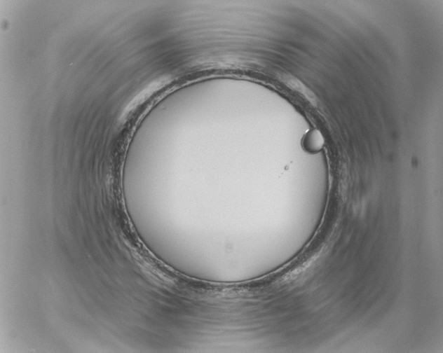 X0000061720922200512302116