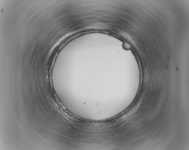 X0000061720923200512302116