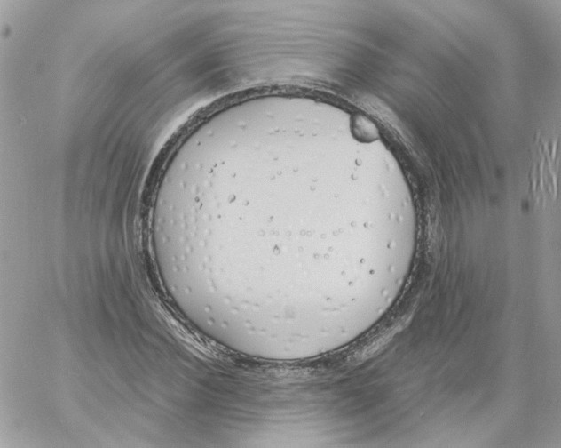 X0000061720924200512302116