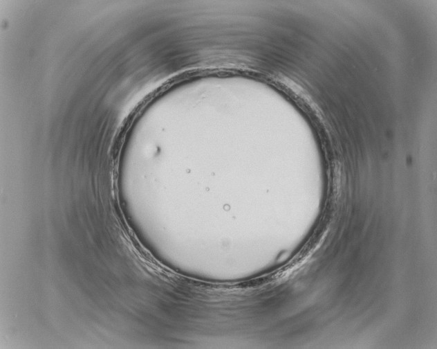 X0000061720925200512302116