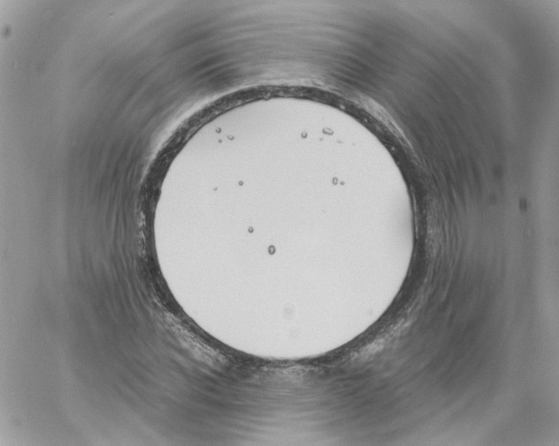 X0000061720926200512302116