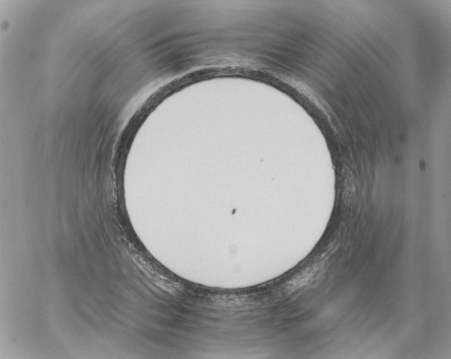 X0000061720927200512302116