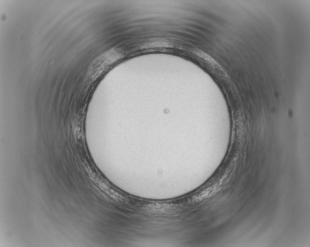 X0000061720929200512302116