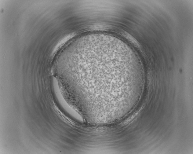 X0000061720930200512302116