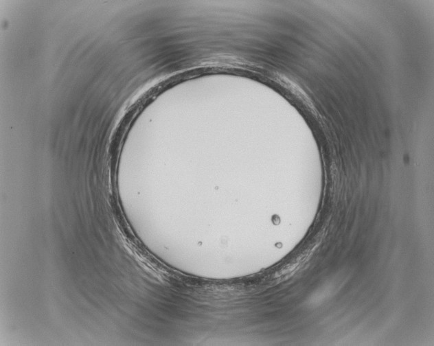 X0000061720931200512302116