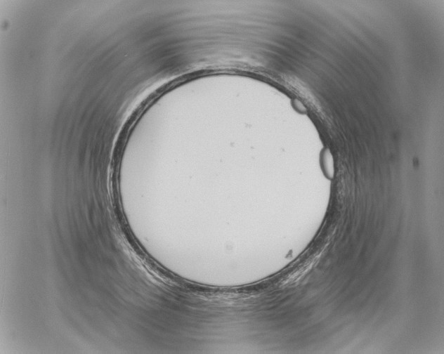 X0000061720932200512302116