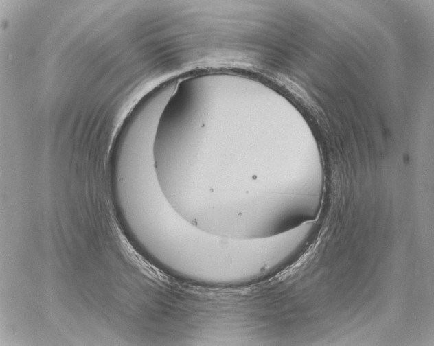 X0000061720934200512302116