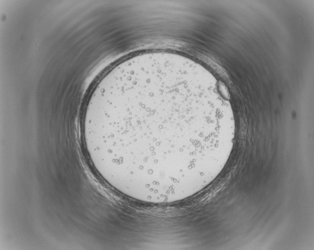 X0000061720936200512302116