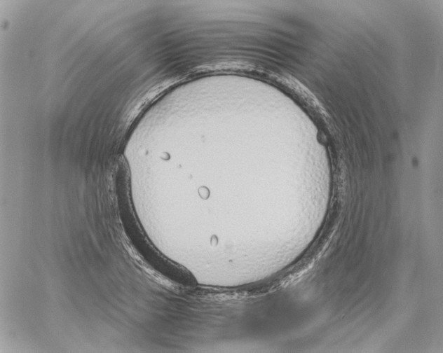 X0000061720937200512302116