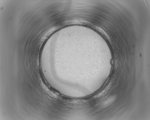 X0000061720938200512302116