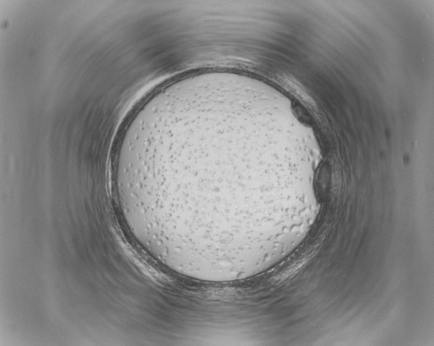 X0000061720940200512302116