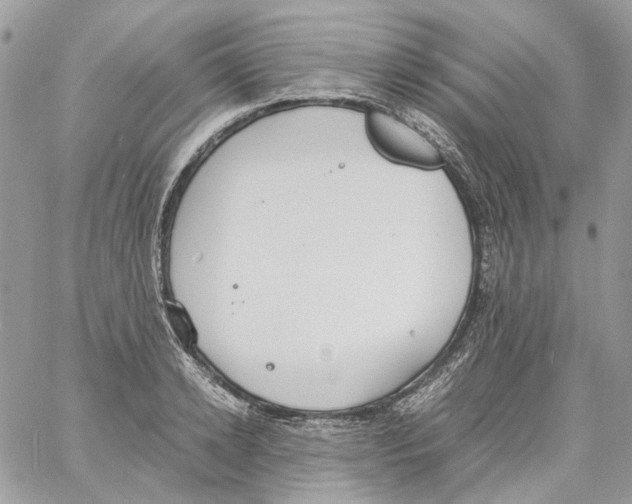 X0000061720942200512302116