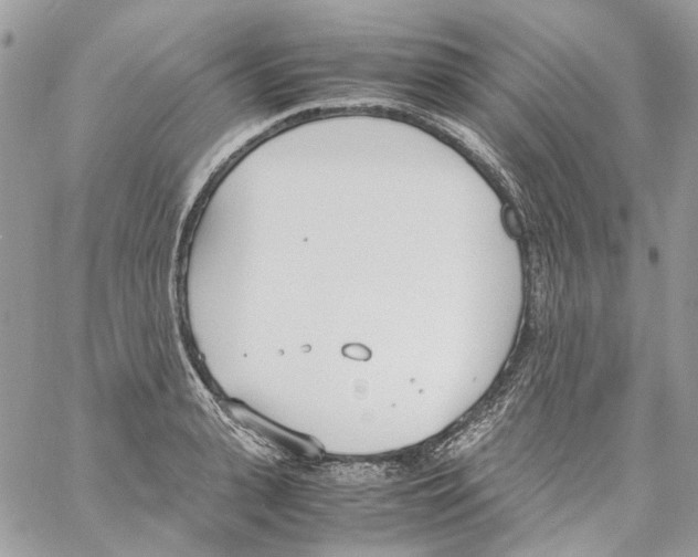 X0000061720943200512302116