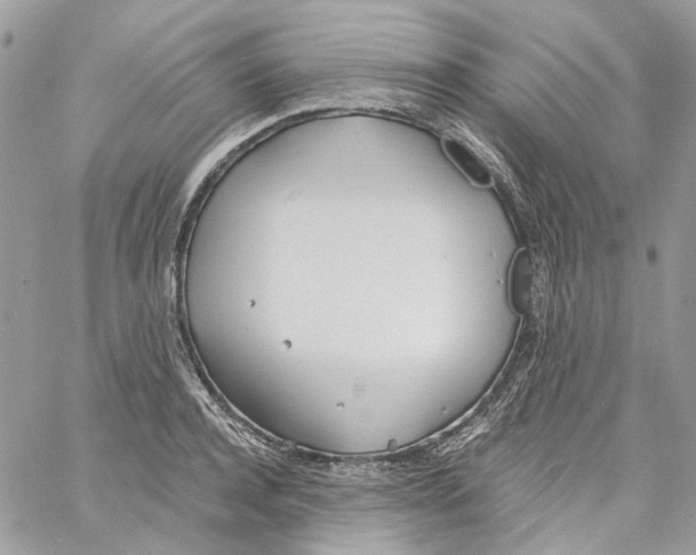 X0000061720944200512302116