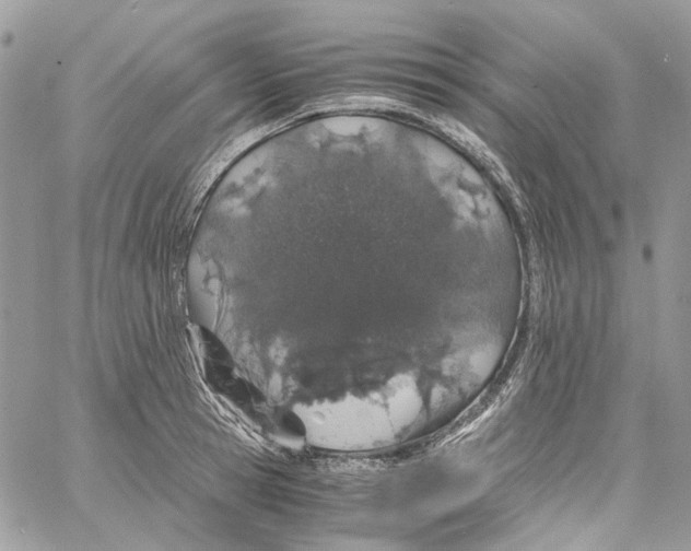 X0000061720945200512302116