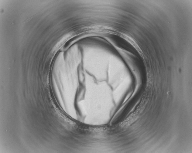 X0000061720946200512302116