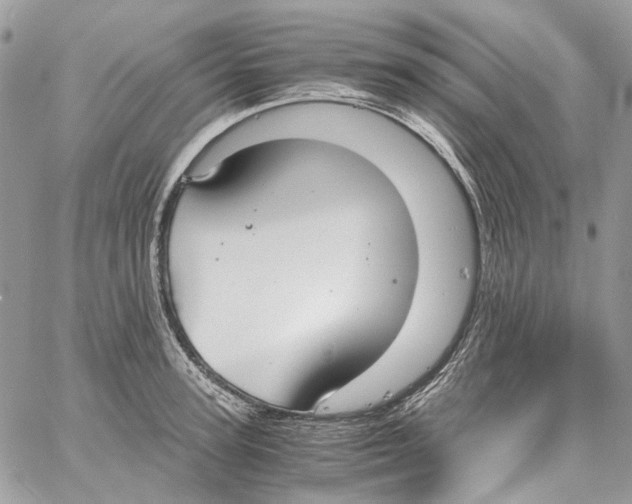 X0000061720947200512302116