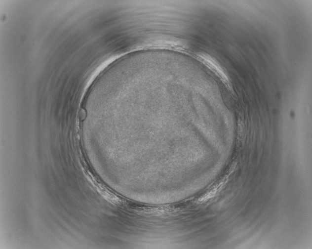 X0000061720948200512302116