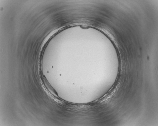 X0000061720949200512302116