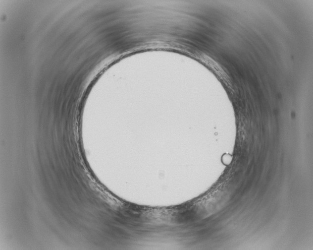 X0000061720950200512302116